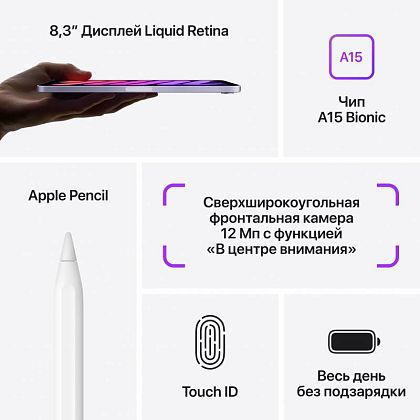 картинка Apple iPad mini 8,3" (2021) Wi-Fi 256 ГБ, розовый от маркетплейса TEMA.shop 8