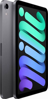 картинка Apple iPad mini 8,3" (2021) Wi-Fi 256 ГБ, серый космос от маркетплейса TEMA.shop 4