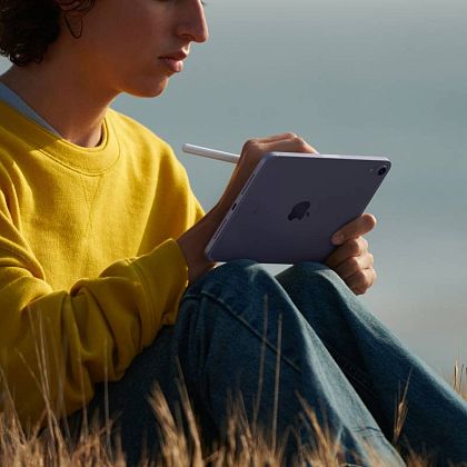 картинка Apple iPad mini 8,3" (2021) Wi-Fi + Cellular 256 ГБ, розовый от маркетплейса TEMA.shop 9