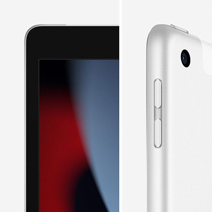 картинка Apple iPad 10,2" (2021) Wi-Fi + Cellular 256 ГБ, серебристый от маркетплейса TEMA.shop 13