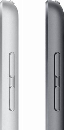 картинка Apple iPad 10,2" (2021) Wi-Fi 256 ГБ, серебристый от маркетплейса TEMA.shop 11