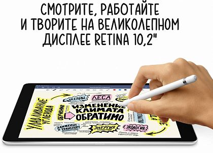 картинка Apple iPad 10,2" (2021) Wi-Fi 256 ГБ, серебристый от маркетплейса TEMA.shop 5
