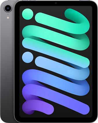 картинка Apple iPad mini 8,3" (2021) Wi-Fi 256 ГБ, серый космос от маркетплейса TEMA.shop 1