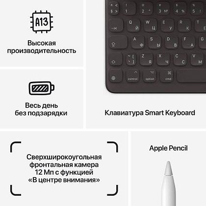 картинка Apple iPad 10,2" (2021) Wi-Fi 256 ГБ, серебристый от маркетплейса TEMA.shop 9